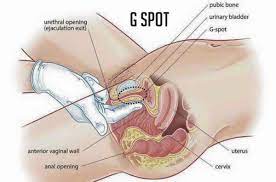 punctul-g